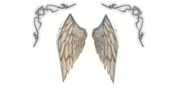Premium headers clothing wings angel b