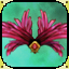 Icon premium clothing carnival wings red