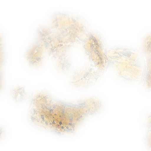Rock with fossil D
