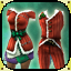 Icon premium christmas clothing 2019