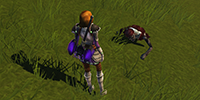 Zombie pirates guide 01