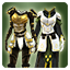 Icon item clothing regnum hero
