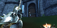 Sow help 1