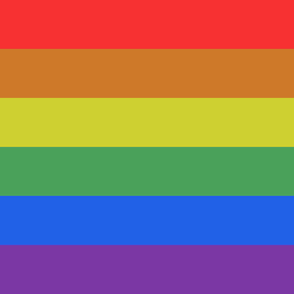 VFX prideflag A
