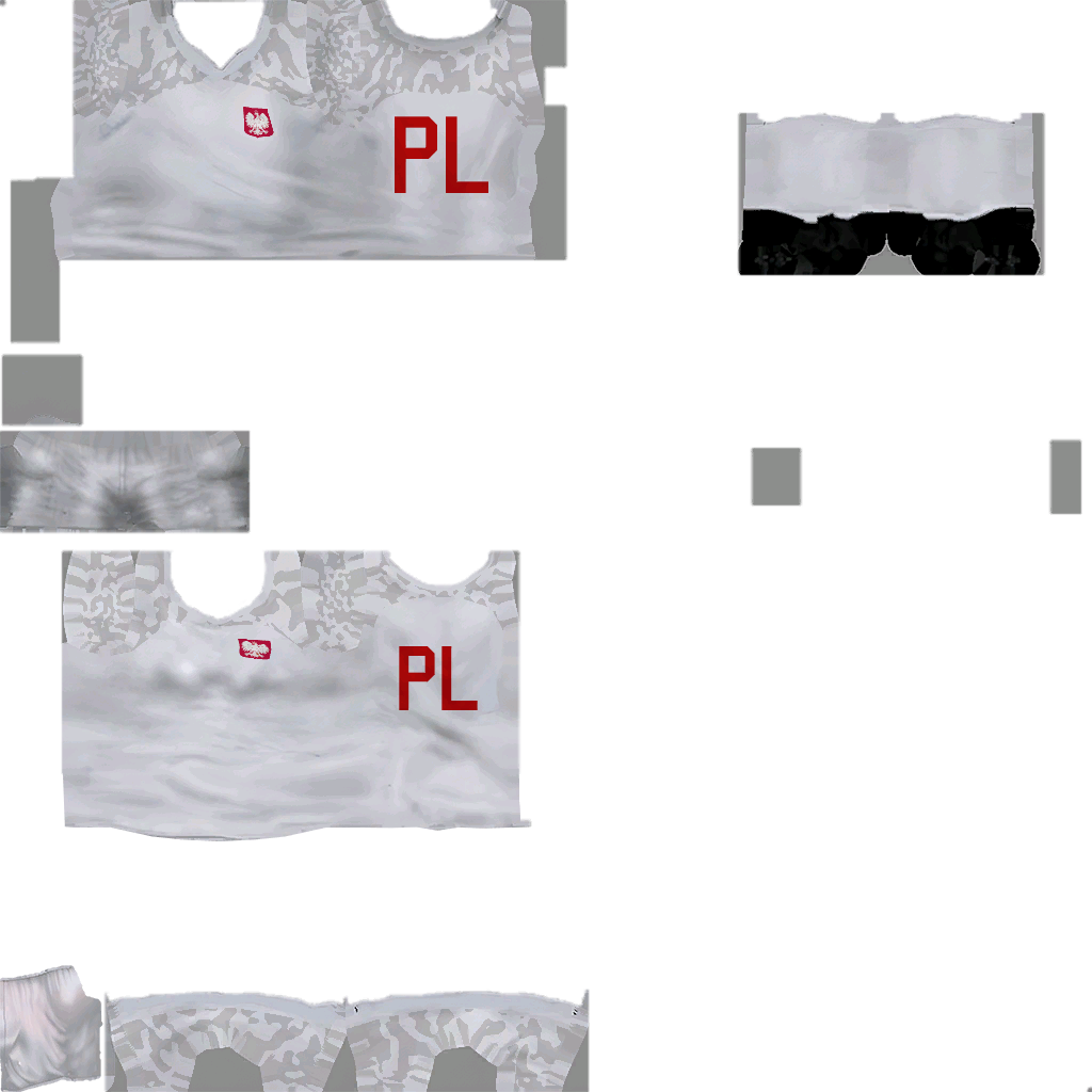 Fc2022 clothing A poland warrior DM