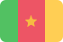 Flag cameroon