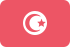Flag tunisia