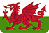Flag wales