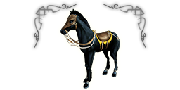 Premium headers horse special agmoh