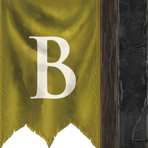 Flag team b D