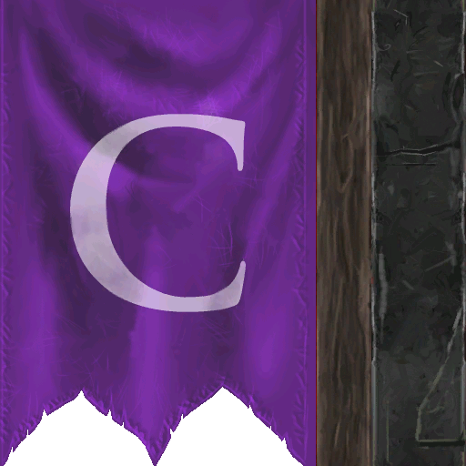 Flag team c D