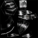 Hair norda female A S