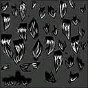 Hair norda female B S