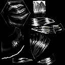 Hair esquelia female A S
