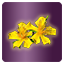 Icon item craft hyperia flower