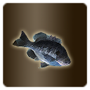 Icon item quest fish bluegill