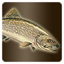 Icon item quest fish lake trout