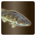 Icon item quest fish walleye