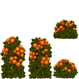 Lantana flower DM