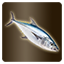 Icon item quest fish bonito