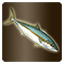 Icon item quest fish kingfish