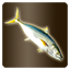 Icon item quest fish yellowtail
