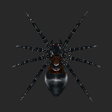 Mount black-widow saddle-A